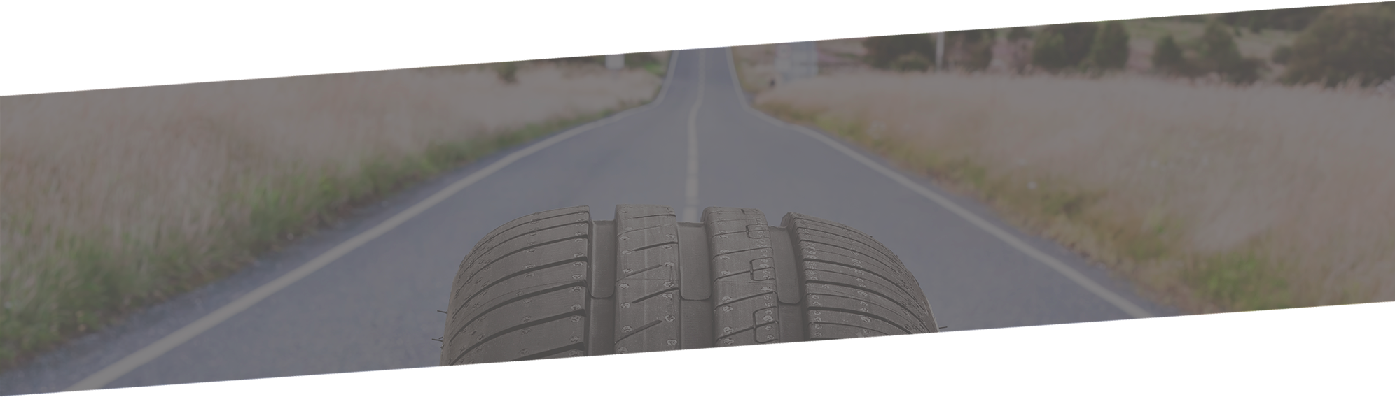 parmeggiani gomme,pneumatici,udine,cambio gomme,convergenza,sanificazione auto,vendita pneumatici,pressione gomme,riparazione pneumatici,deposito gomme,officina,continental,bridgestone,good year,michelin,pirelli,hankook